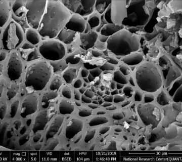 Biochar 4 360x320