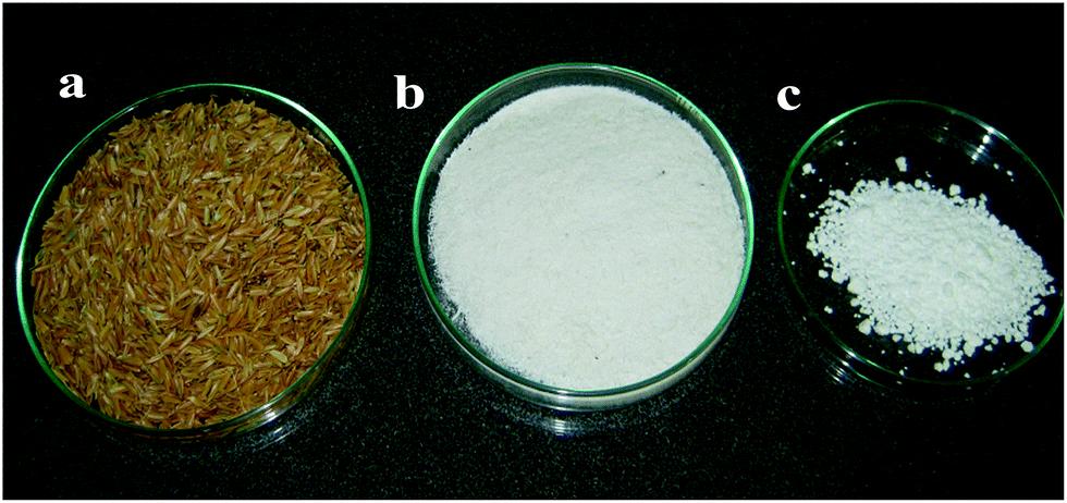 Rice husk silica 2