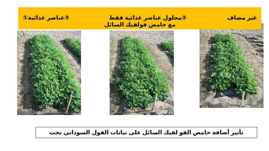 تأثير إضافة حمض الفولفيك