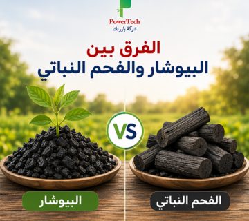 الفرق بين البيوشار والفحم النباتي