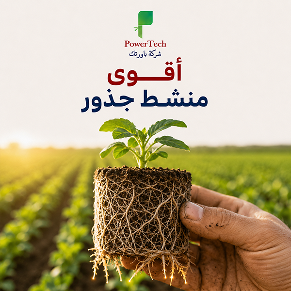 اقوى منشط جذور