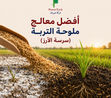 أفضل معالج ملوحة التربة (سرسة الأرز)